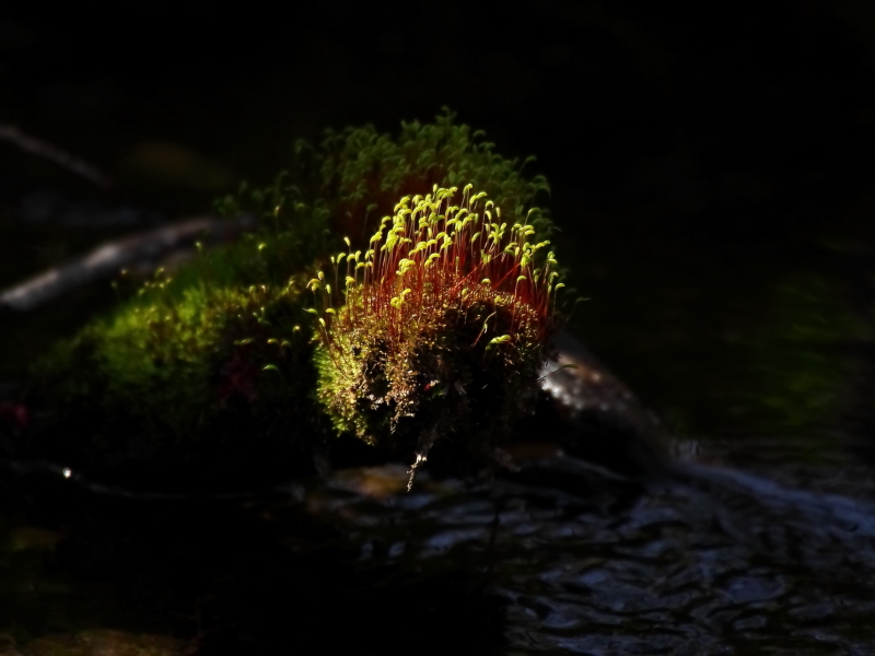 2013 04 24 IMG 03942e